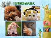 11藝術(shù)作品中的動(dòng)物 課件