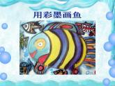 9用彩墨畫(huà)魚(yú) 課件