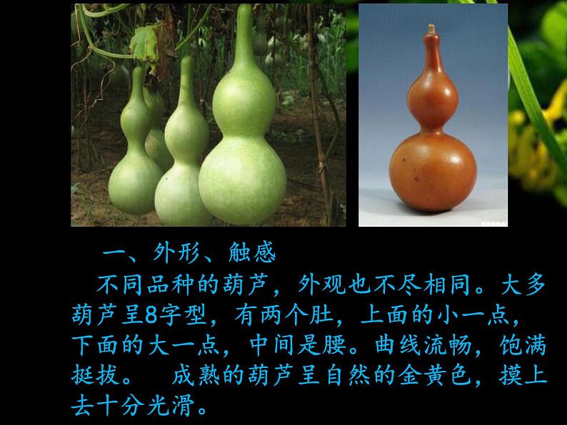 综合练习21 葫芦娃 葫芦画  课件第4页