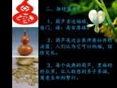 綜合練習(xí)21 葫蘆娃 葫蘆畫  課件