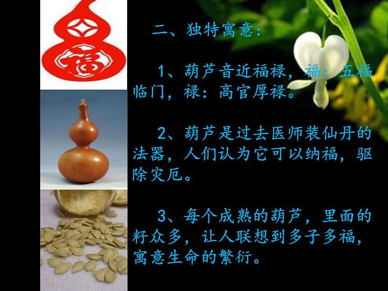 综合练习21 葫芦娃 葫芦画  课件第5页