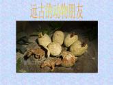 三年級(jí)下冊(cè)美術(shù)課件－14遠(yuǎn)古的動(dòng)物朋友  ｜蘇少版