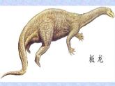 三年級(jí)下冊(cè)美術(shù)課件－14遠(yuǎn)古的動(dòng)物朋友  ｜蘇少版