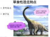 9恐龙世界 课件