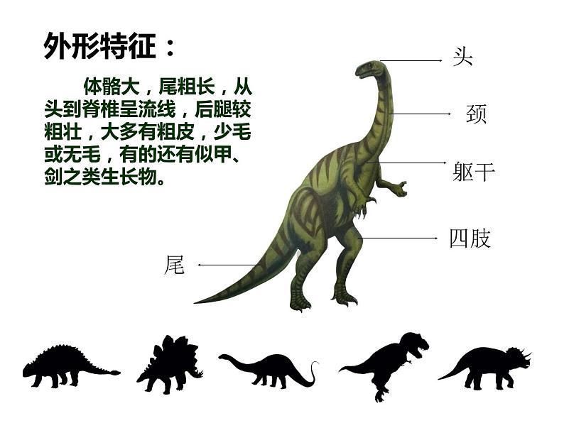 9恐龙世界 课件06