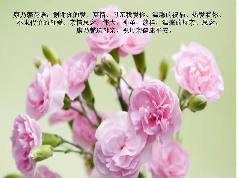 6 花团锦簇 课件第8页