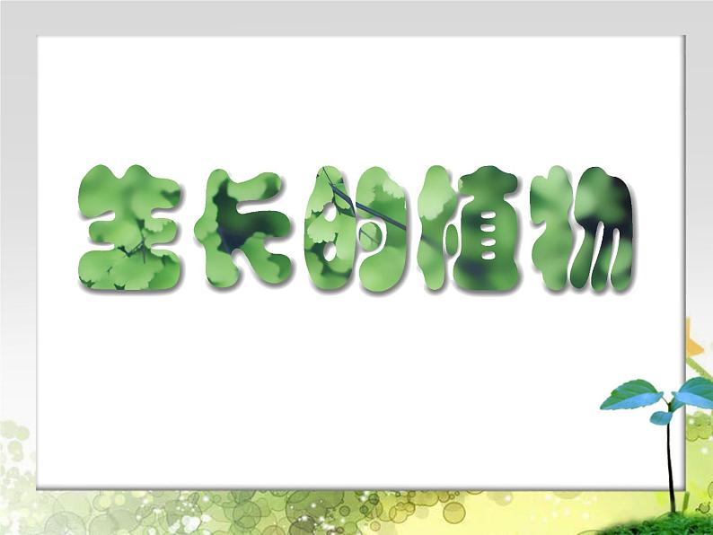 四年级下册美术课件－7《生长的植物》  ｜浙美版（2014秋）第1页