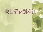 五年级下册美术课件－18映日荷花别样红   ｜浙美版（2014秋）