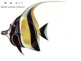 赣美版二下7.水族馆 课件