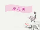 赣美版三下 5.荷花美 课件
