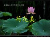 赣美版三下 5.荷花美 课件