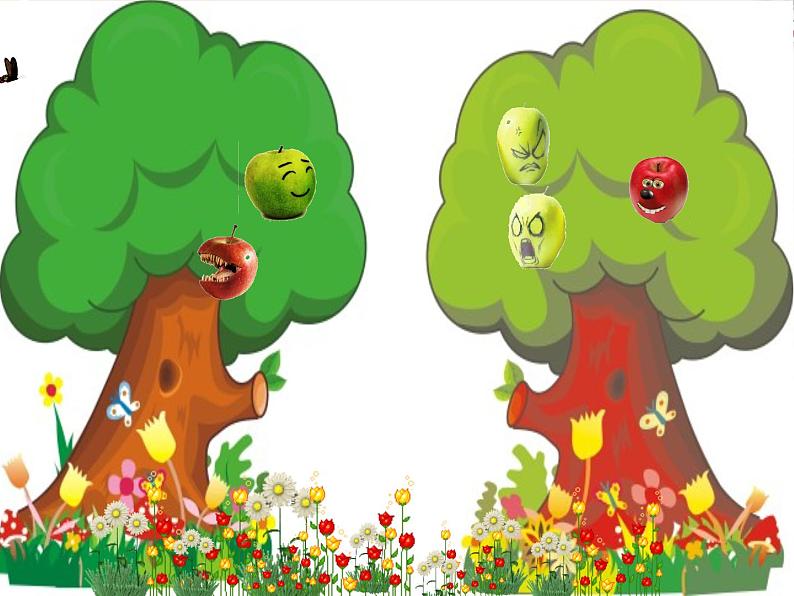 赣美版四下 16.奇妙的图形 课件第2页