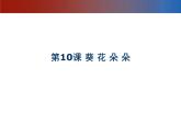 赣美版六下 10.葵花朵朵 课件