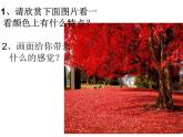 赣美版五下 13.色彩的和谐与对比 课件
