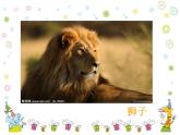 一年級下冊美術(shù)課件－19.我們的動物樂園｜嶺南版