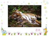 一年級下冊美術(shù)課件－19.我們的動物樂園｜嶺南版