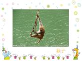 一年級下冊美術(shù)課件－19.我們的動物樂園｜嶺南版
