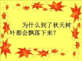 三年級下冊美術(shù)課件－15.秋天的落葉 ｜嶺南版