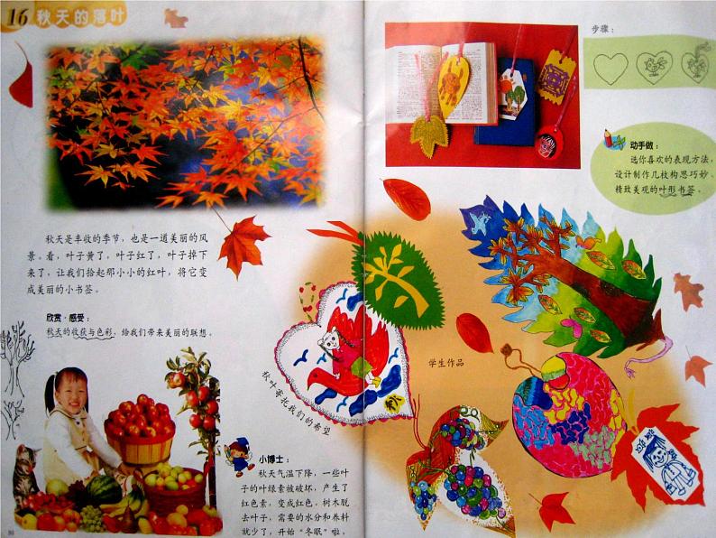 三年级下册美术课件－15.秋天的落叶 ｜岭南版04