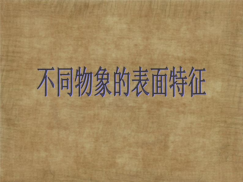 五年级下册美术课件－8.不同物象的表面特征 ｜岭南版02