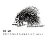 五年级下册美术课件－8.不同物象的表面特征 ｜岭南版