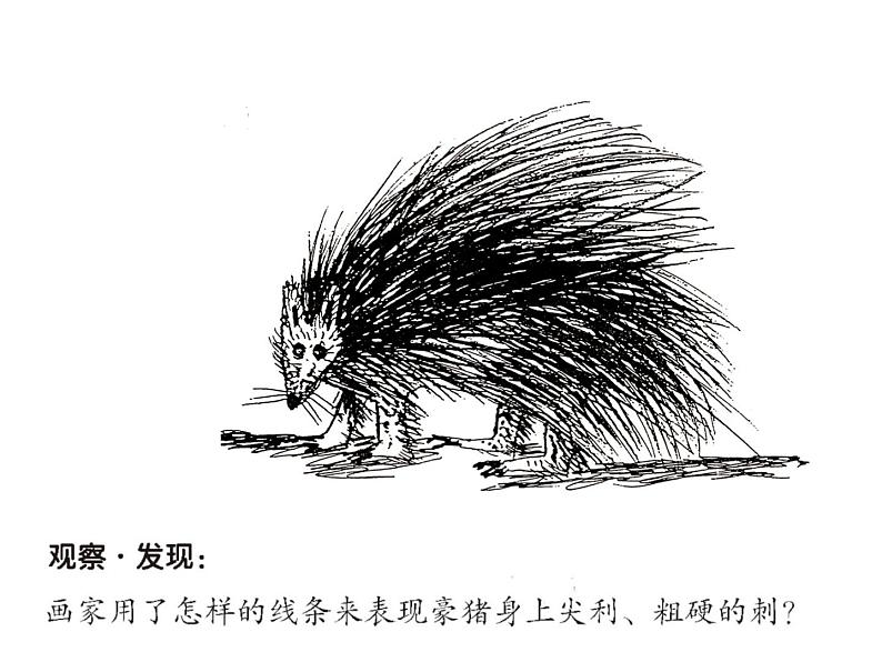 五年级下册美术课件－8.不同物象的表面特征 ｜岭南版05