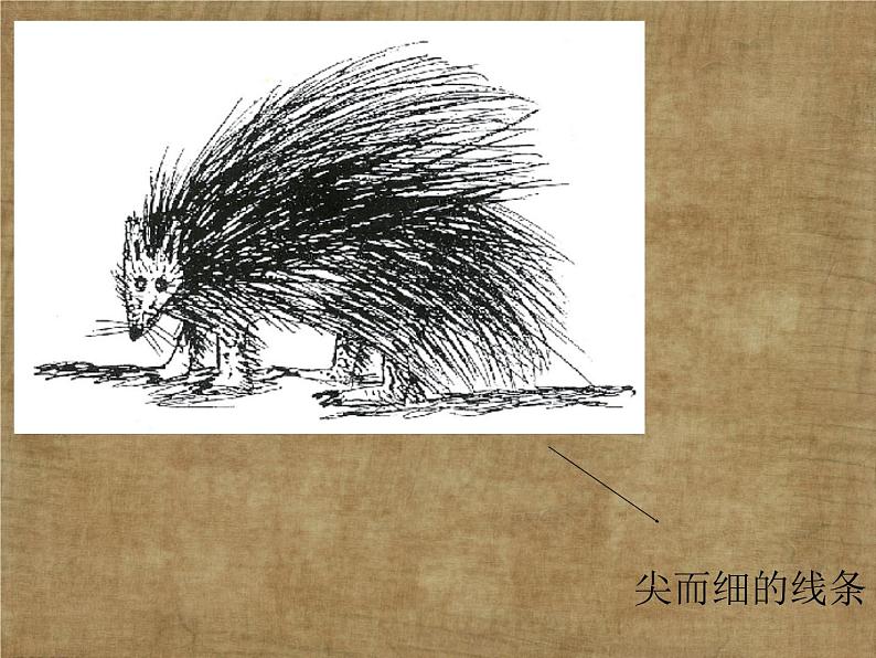 五年级下册美术课件－8.不同物象的表面特征 ｜岭南版06