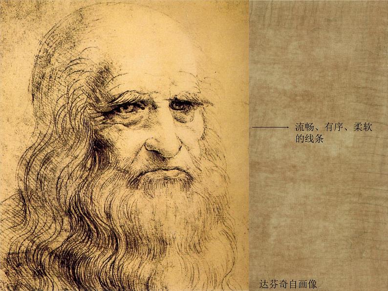 五年级下册美术课件－8.不同物象的表面特征 ｜岭南版07