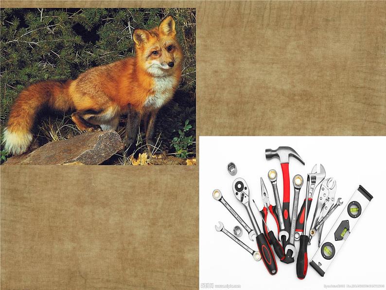 五年级下册美术课件－8.不同物象的表面特征 ｜岭南版08