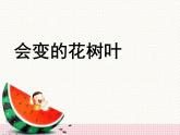 二年級(jí)下冊美術(shù)課件－13.會(huì)變的花、樹、葉｜蘇少版
