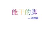 六年級下冊美術(shù)課件－3.能干的腳｜蘇少版