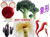 六年級(jí)下冊美術(shù)課件－16.奇妙的圖形｜蘇少版