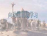六年級下冊美術(shù)課件－6.向動物朋友學(xué)習(xí)｜蘇少版