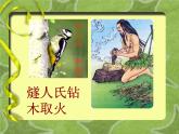 六年級下冊美術(shù)課件－6.向動物朋友學(xué)習(xí)｜蘇少版