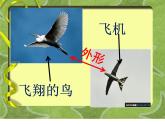 六年級下冊美術(shù)課件－6.向動物朋友學(xué)習(xí)｜蘇少版