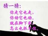 湘美版小學美術(shù)二下 17.影子大王 課件