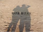 湘美版小學美術(shù)二下 17.影子大王 課件