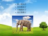 湘美版小学美术二下 4.动物聚会 课件