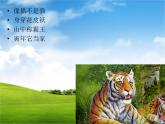 湘美版小学美术二下 4.动物聚会 课件