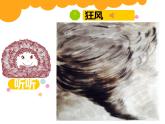 湘美版小学美术二下 18.听听画画 课件