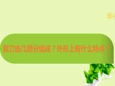 湘美版小學(xué)美術(shù)二下 2.剪刀添畫 課件