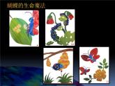 湘美版小学美术二下 15.四格画 课件