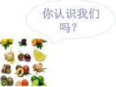 13各式各樣的水果 課件