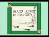 三年级下册美术课件－5.荷花美｜赣美版