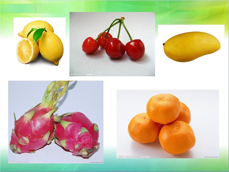 三年级下册美术课件－4.瓜果飘香｜赣美版第6页
