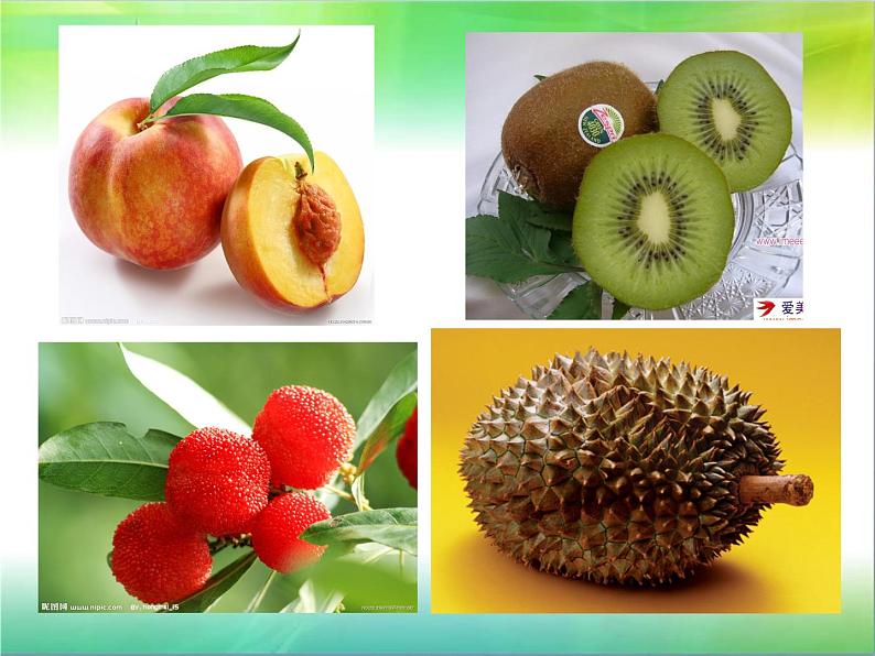 三年级下册美术课件－4.瓜果飘香｜赣美版第8页