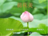 三年级下册美术课件－5.荷花美｜赣美版