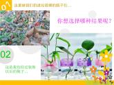 冀美版小學(xué)美術(shù)四下 9.瓶子巧變化 課件