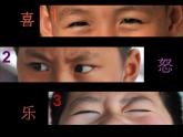 冀美版小學(xué)美術(shù)四下 4.生動的表情 課件