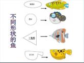一年級下冊美術(shù)課件－7.大魚和小魚｜嶺南版